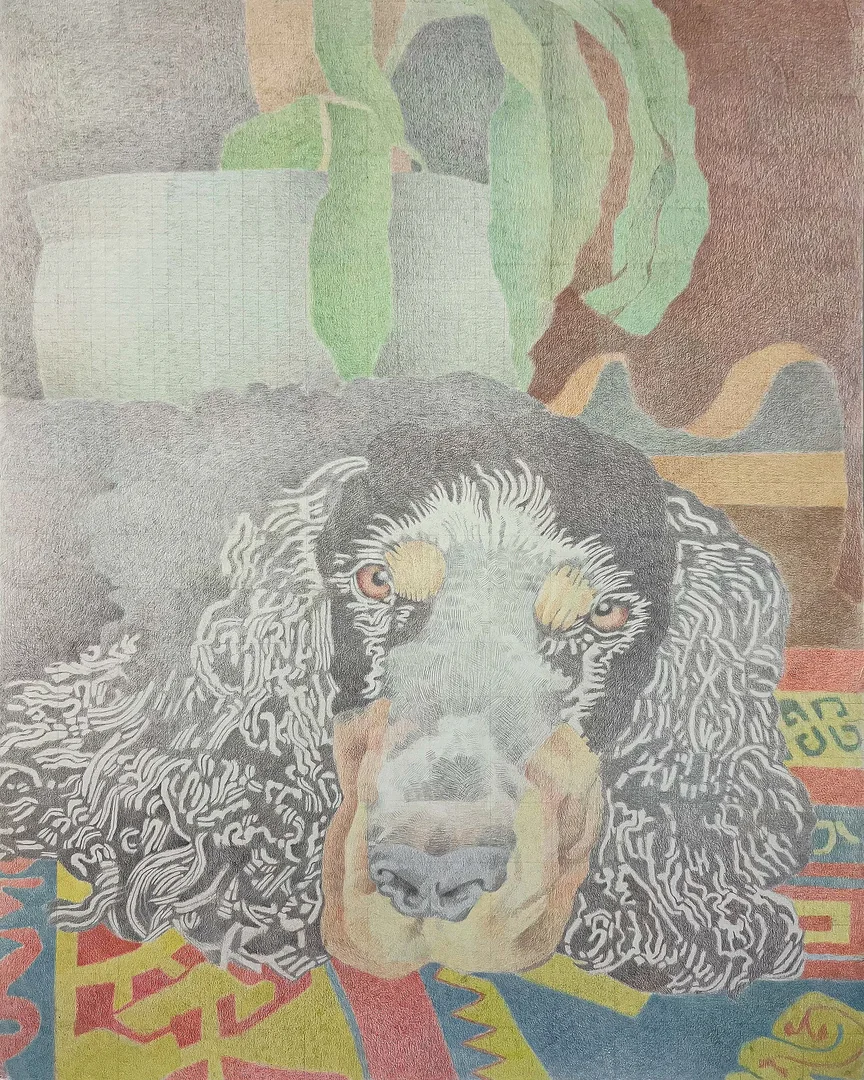 Newton, œuvre de Benjamin Pléau, 2025
